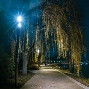 Vichy Noël 2022 by @NataFranceAuvergne-10